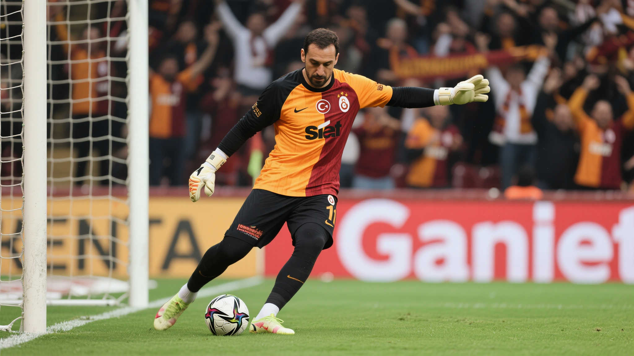 不仅是对音 不仅是对音